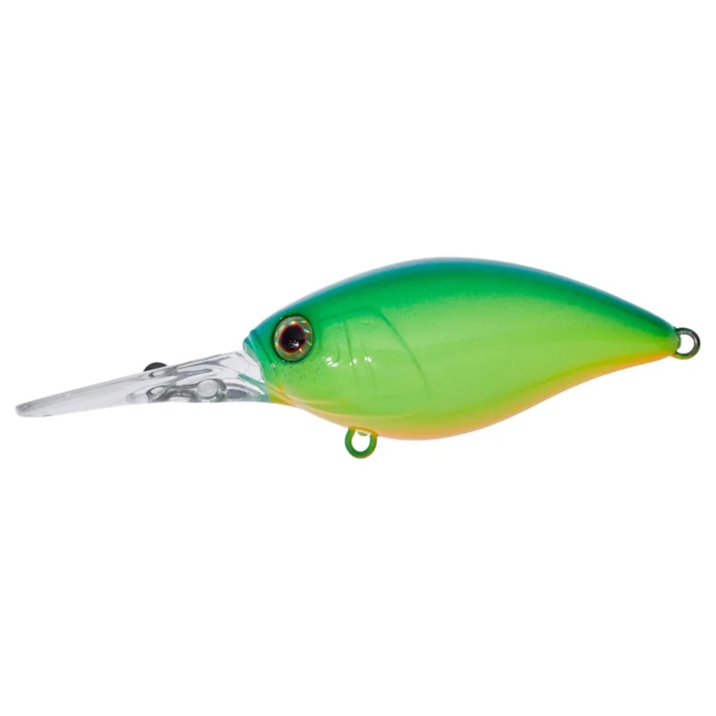 tackle-dealer-shop4802717