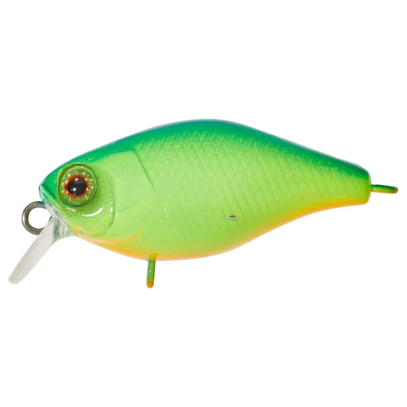 tackle-dealer-shop4809353