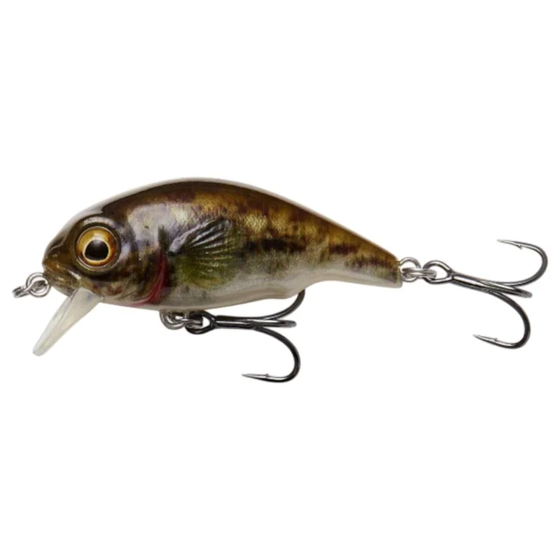 tackle-dealer-shop4809971