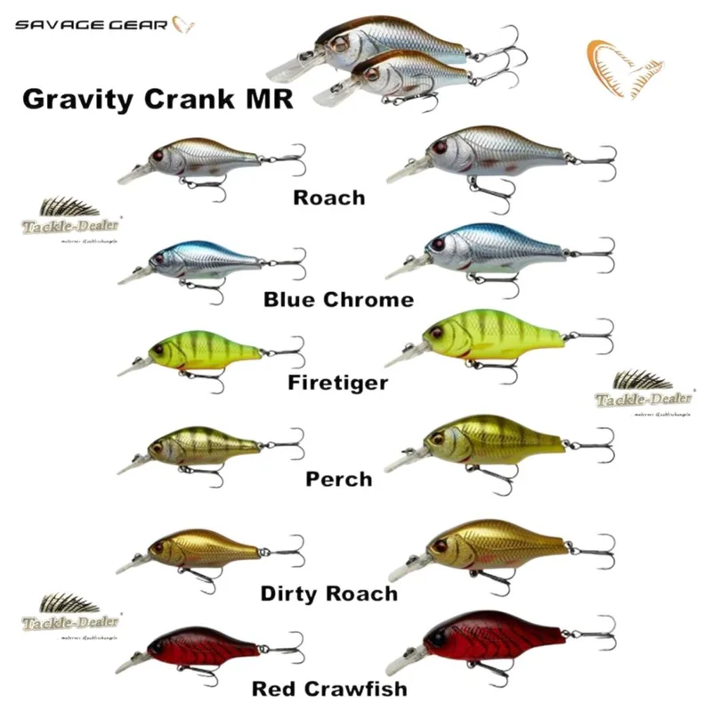 tackle-dealer-shop4810076