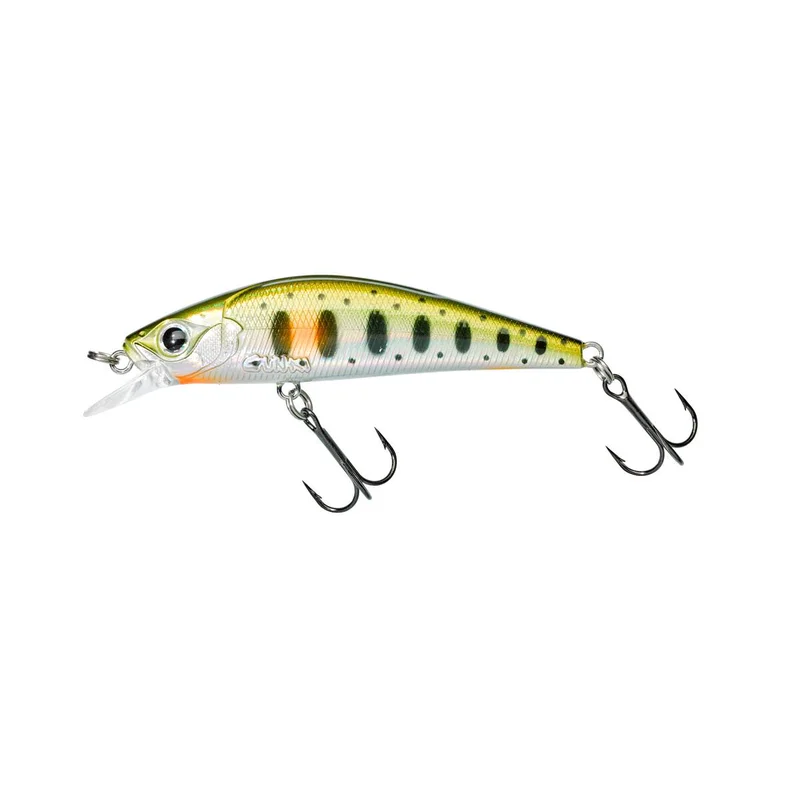 tackle-dealer-shop4812198