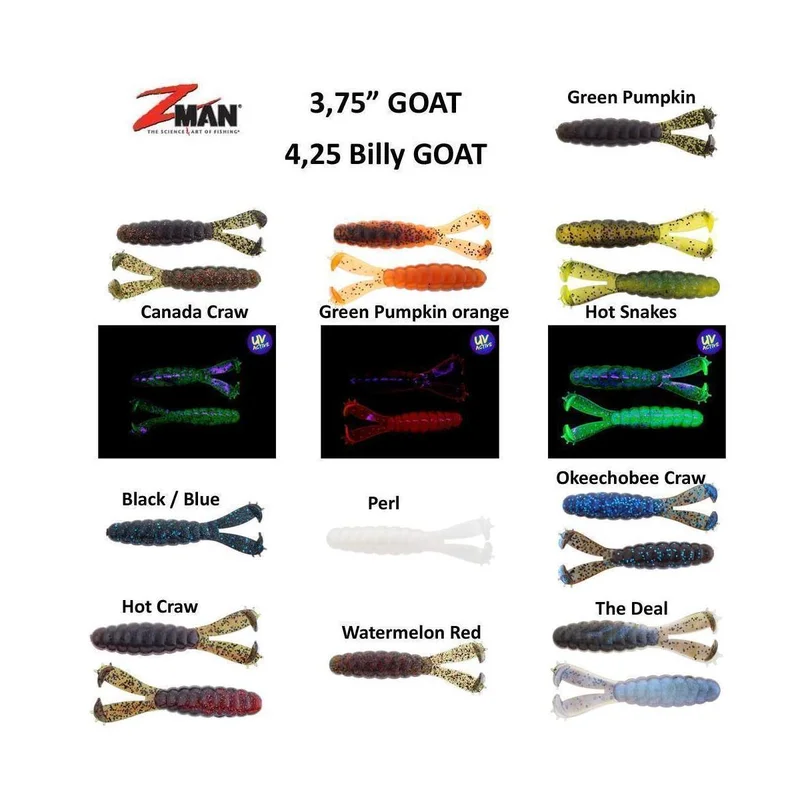 tackle-dealer-shop4818070