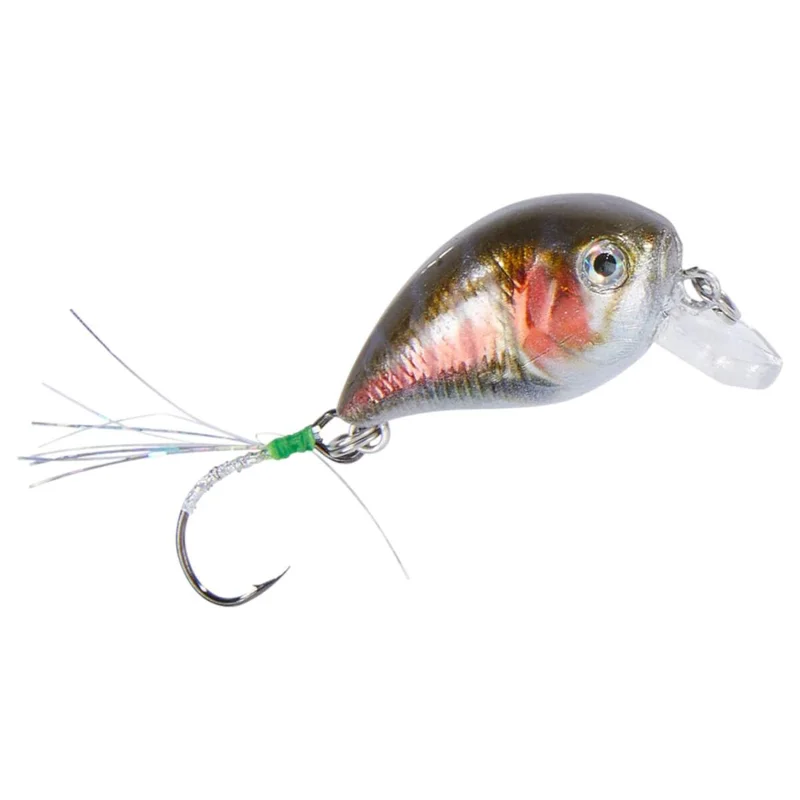 tackle-dealer-shop4818590