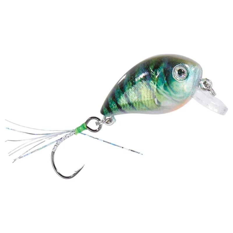 tackle-dealer-shop4818602