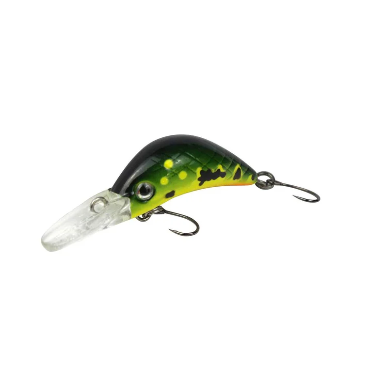 tackle-dealer-shop4819949