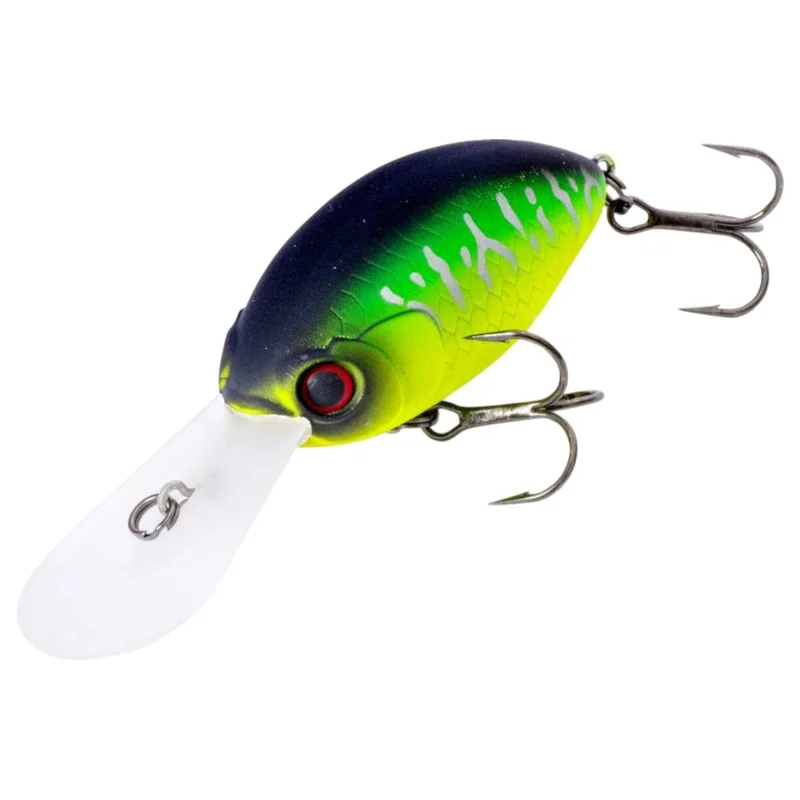 tackle-dealer-shop4821502
