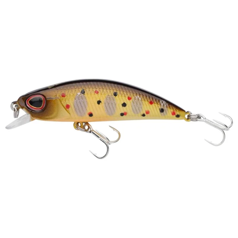 tackle-dealer-shop4824305