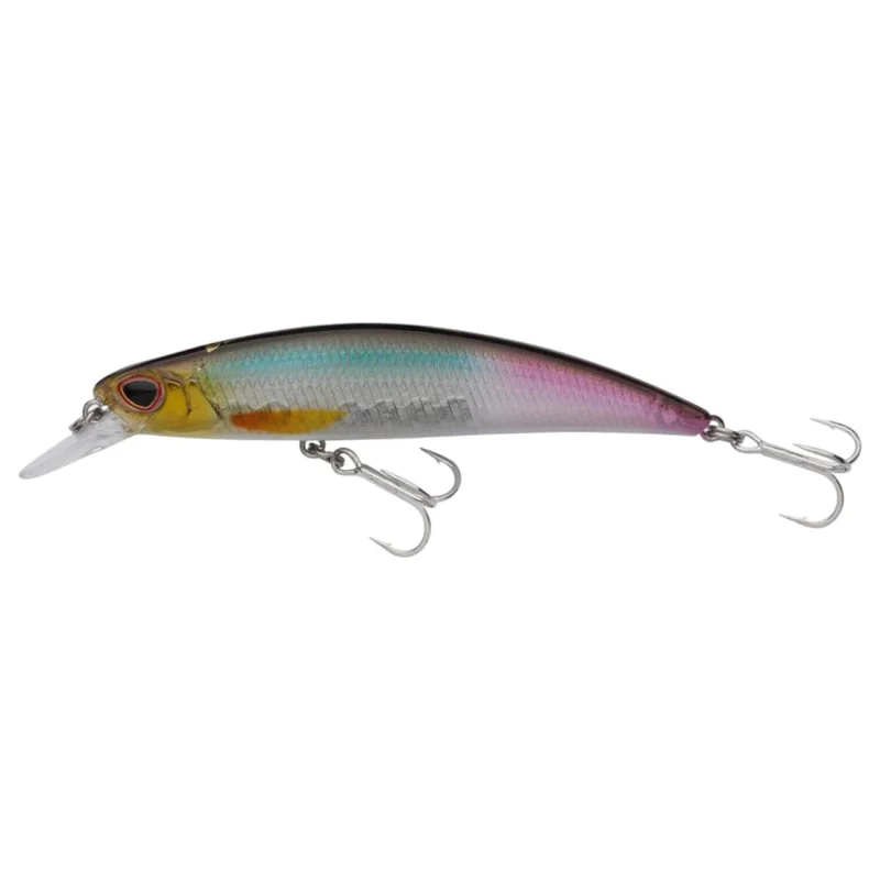 tackle-dealer-shop4824366