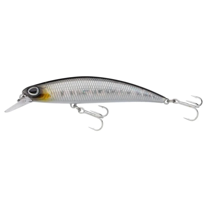 tackle-dealer-shop4824428
