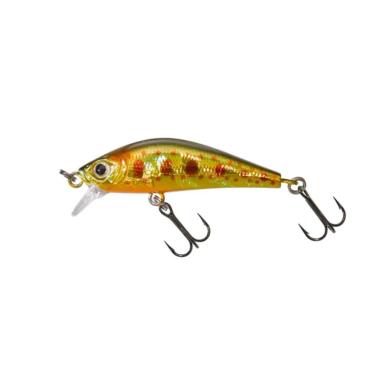tackle-dealer-shop4825189