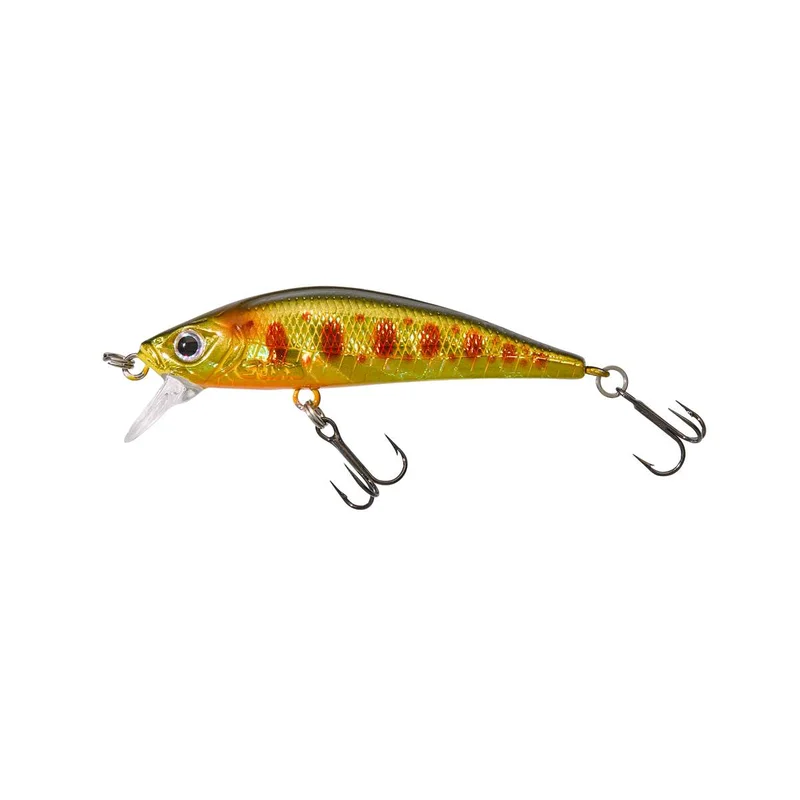 tackle-dealer-shop4825348