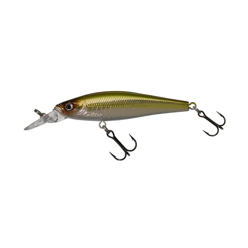 tackle-dealer-shop4825399