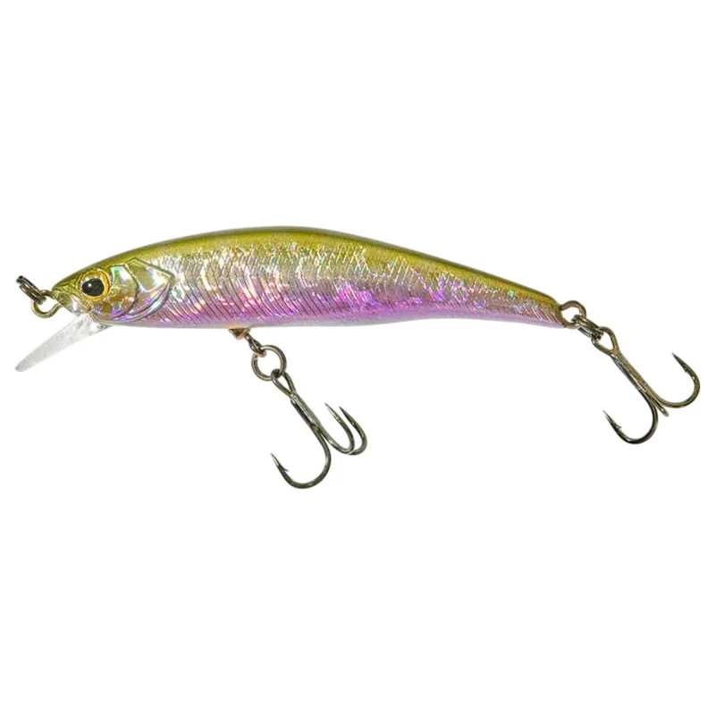 tackle-dealer-shop4835621