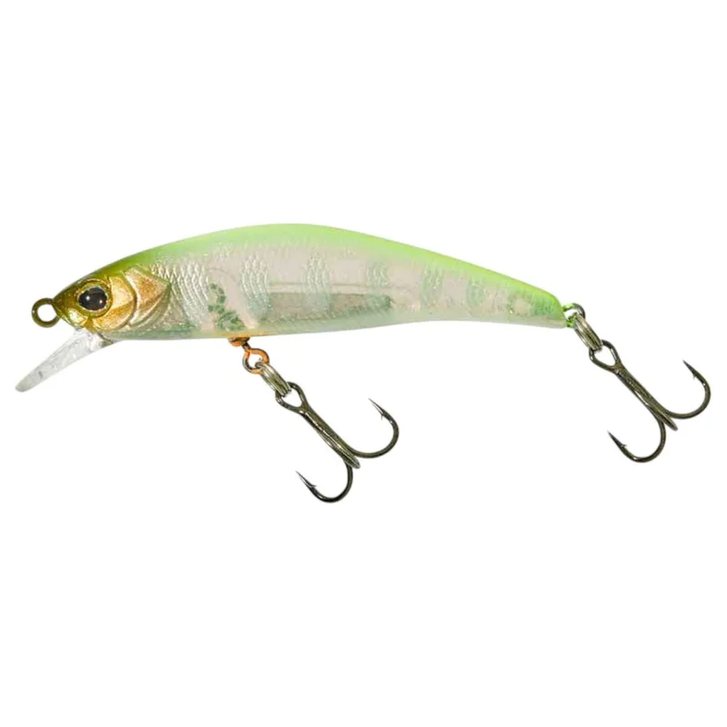 tackle-dealer-shop4835646