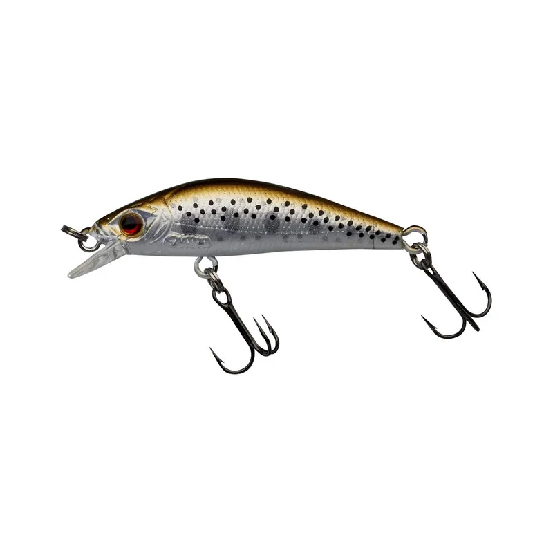 tackle-dealer-shop4836499
