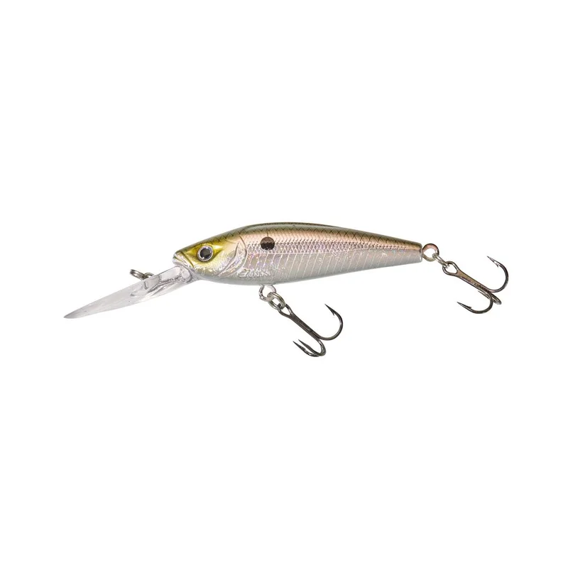 tackle-dealer-shop4836581