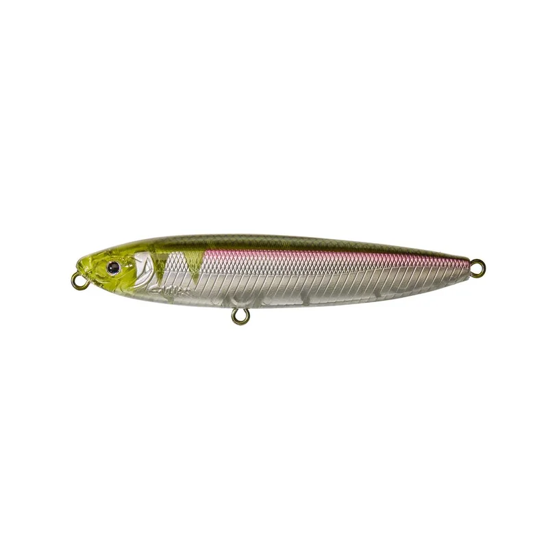 tackle-dealer-shop4836651