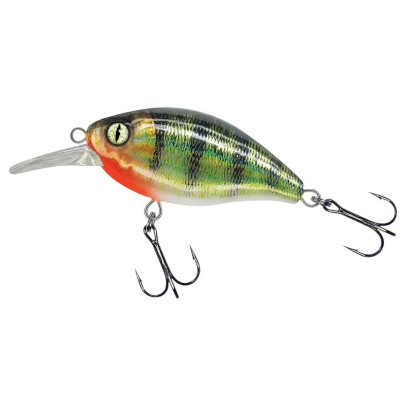 tackle-dealer-shop4840872