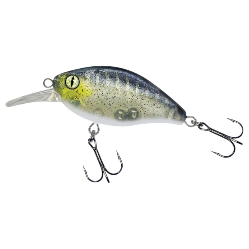 tackle-dealer-shop4840924