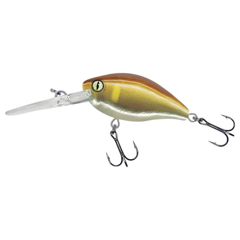 tackle-dealer-shop4841099
