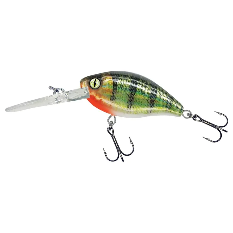 tackle-dealer-shop4841225