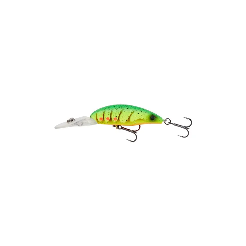tackle-dealer-shop4841623