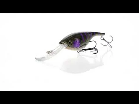 tackle-dealer-shop4844361
