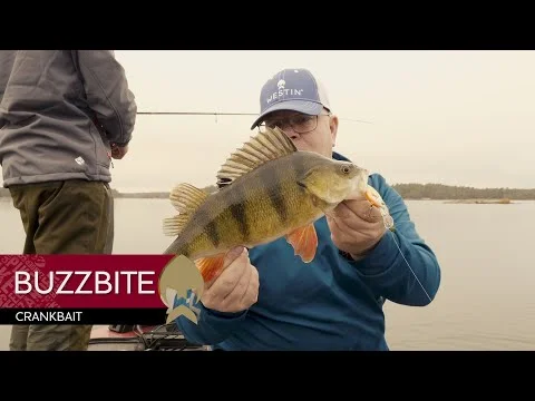 tackle-dealer-shop4844414