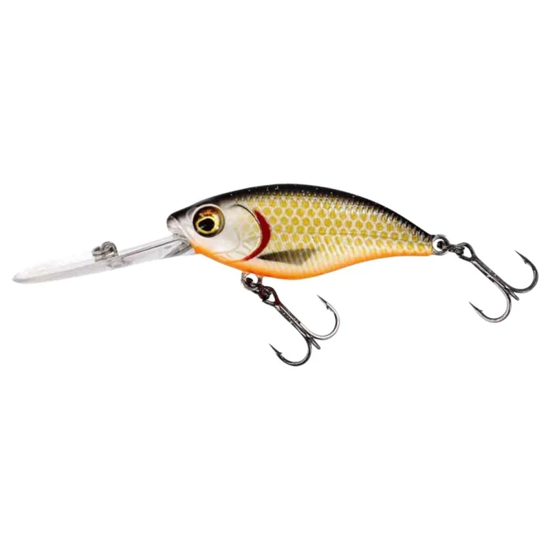 tackle-dealer-shop4851620