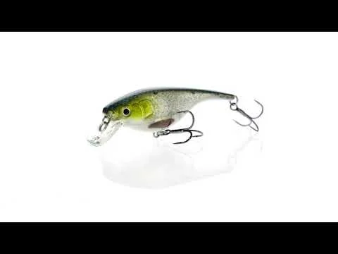 tackle-dealer-shop4852431