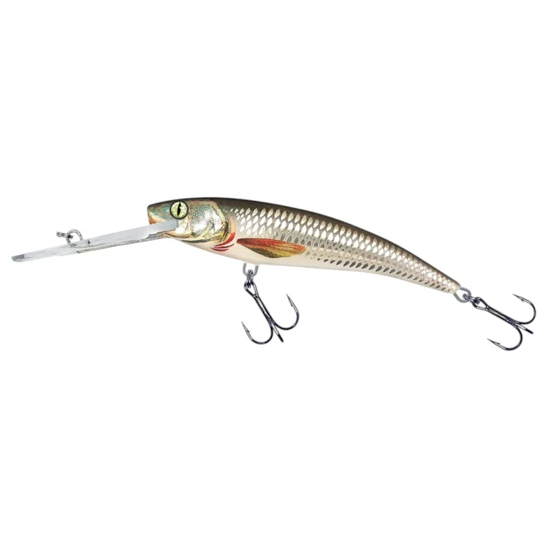 tackle-dealer-shop4854332