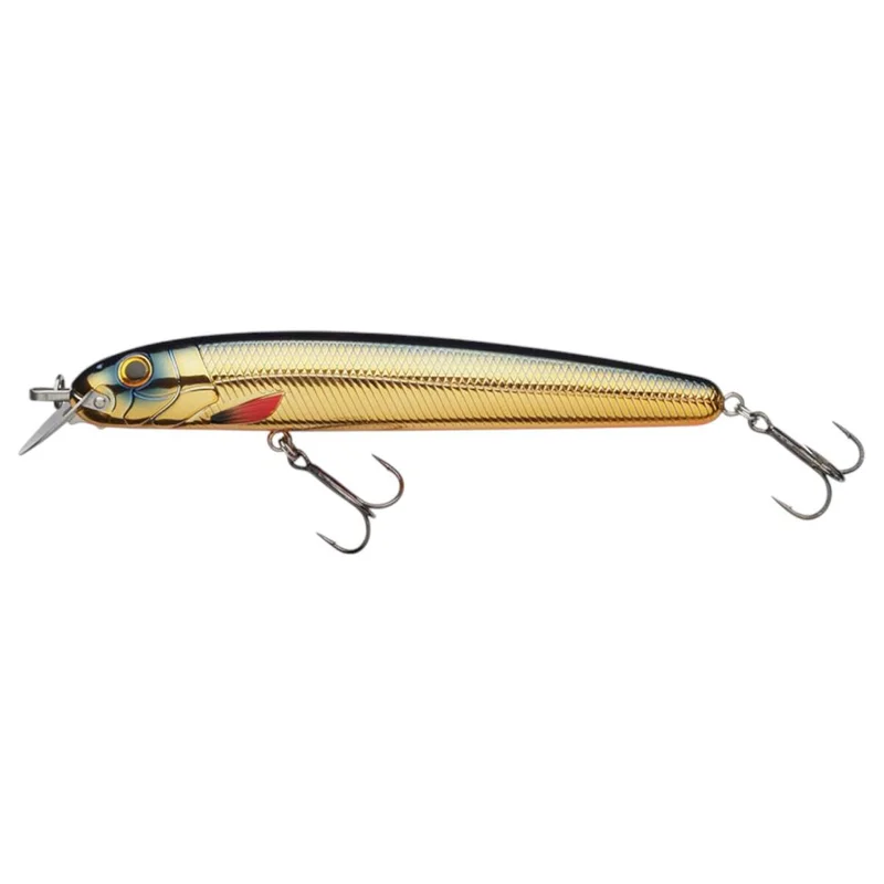 tackle-dealer-shop4855506