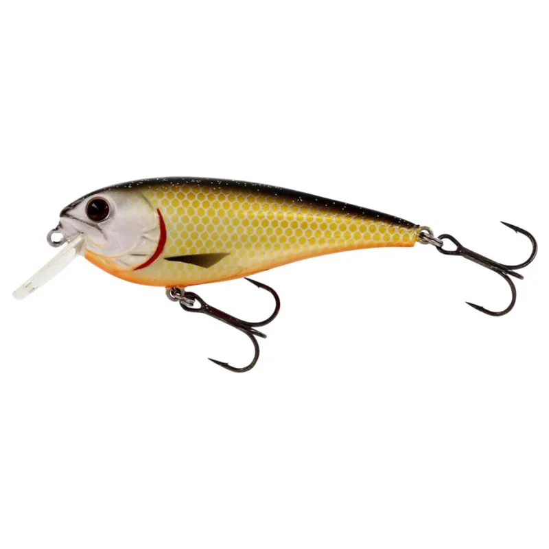 tackle-dealer-shop4857939