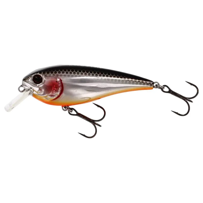 tackle-dealer-shop4857946