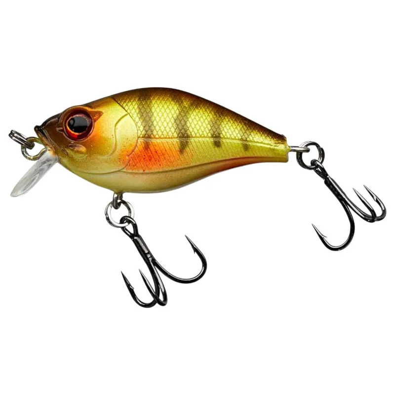 tackle-dealer-shop4861146
