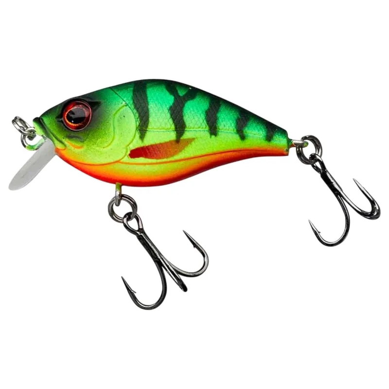 tackle-dealer-shop4861209