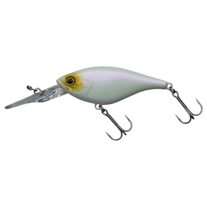 tackle-dealer-shop4861567
