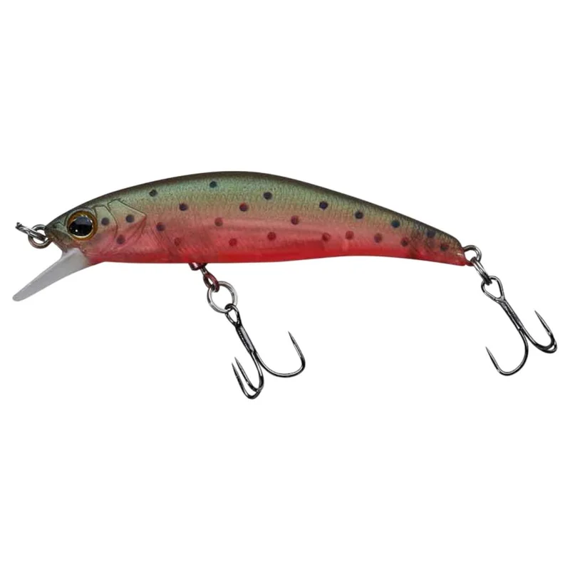 tackle-dealer-shop4861882