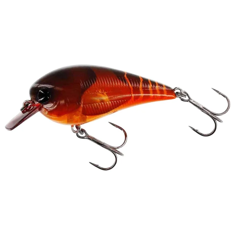 tackle-dealer-shop4862240