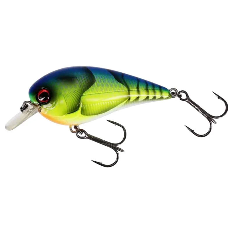 tackle-dealer-shop4862249