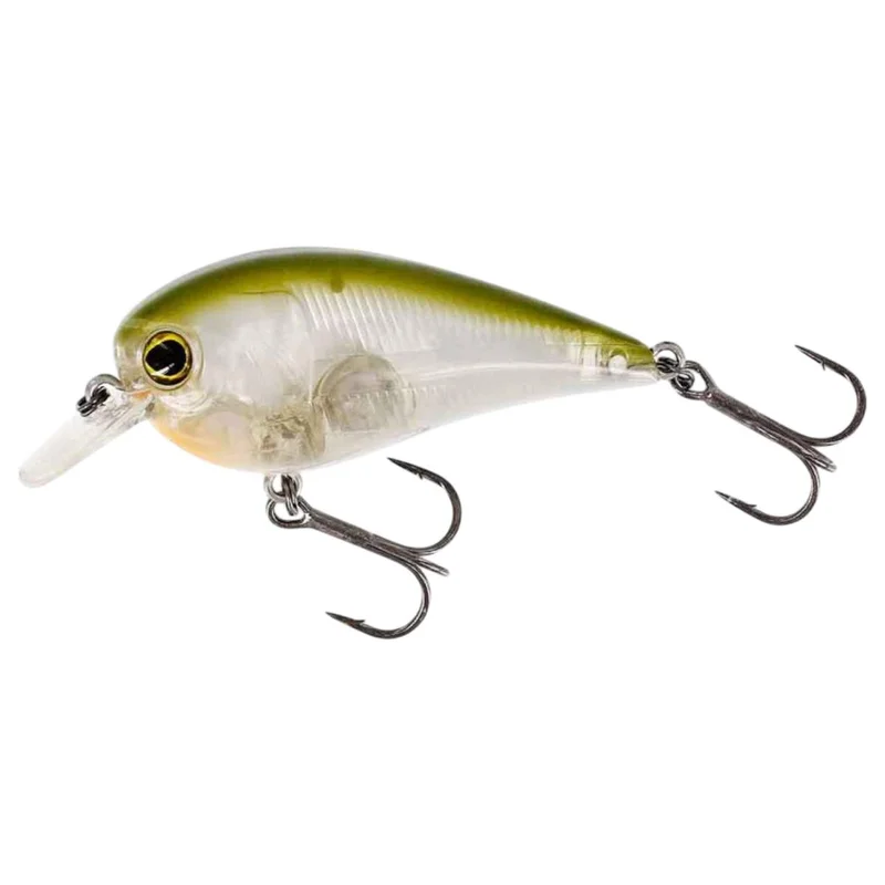 tackle-dealer-shop4862267
