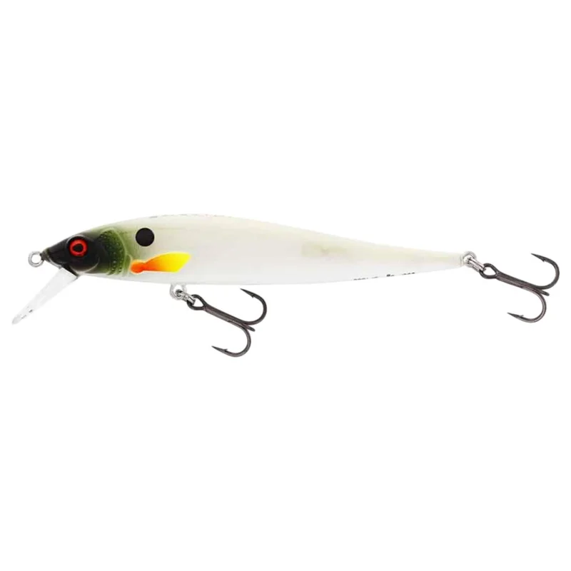 tackle-dealer-shop4862399