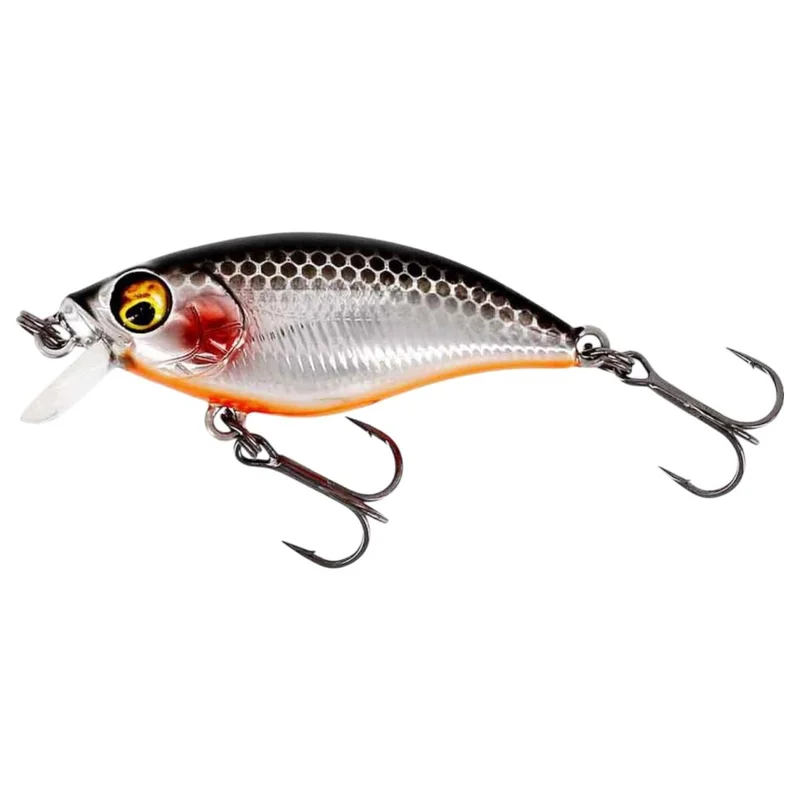 tackle-dealer-shop4862707