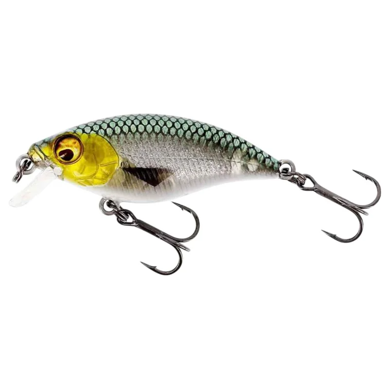 tackle-dealer-shop4862719