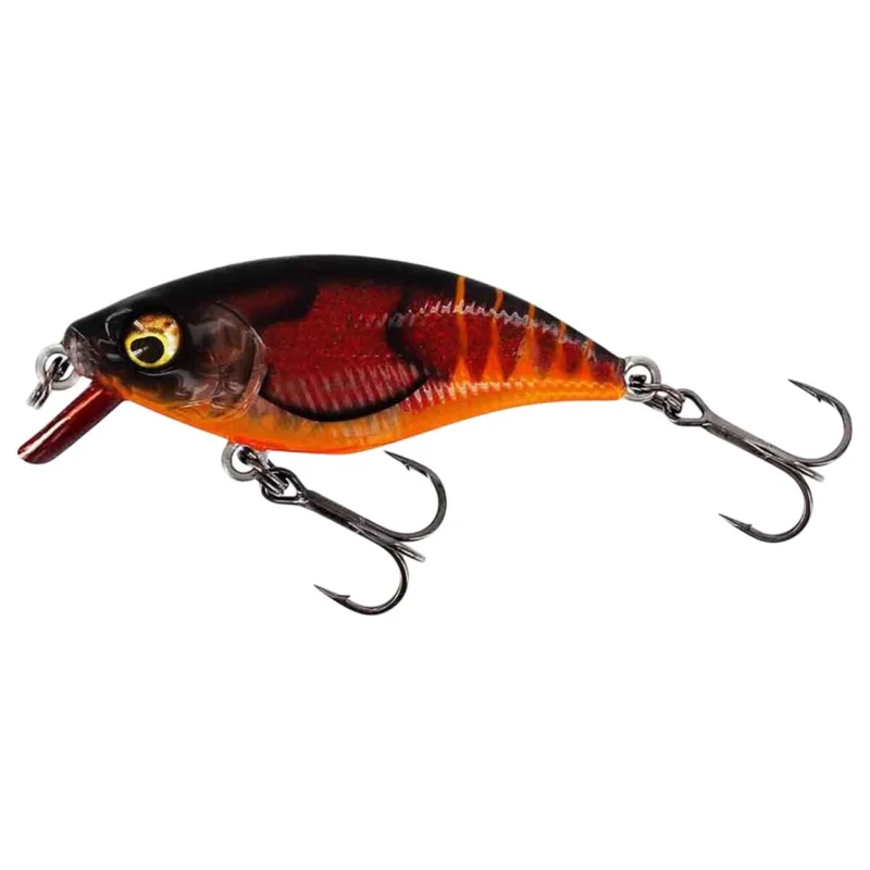 tackle-dealer-shop4862742