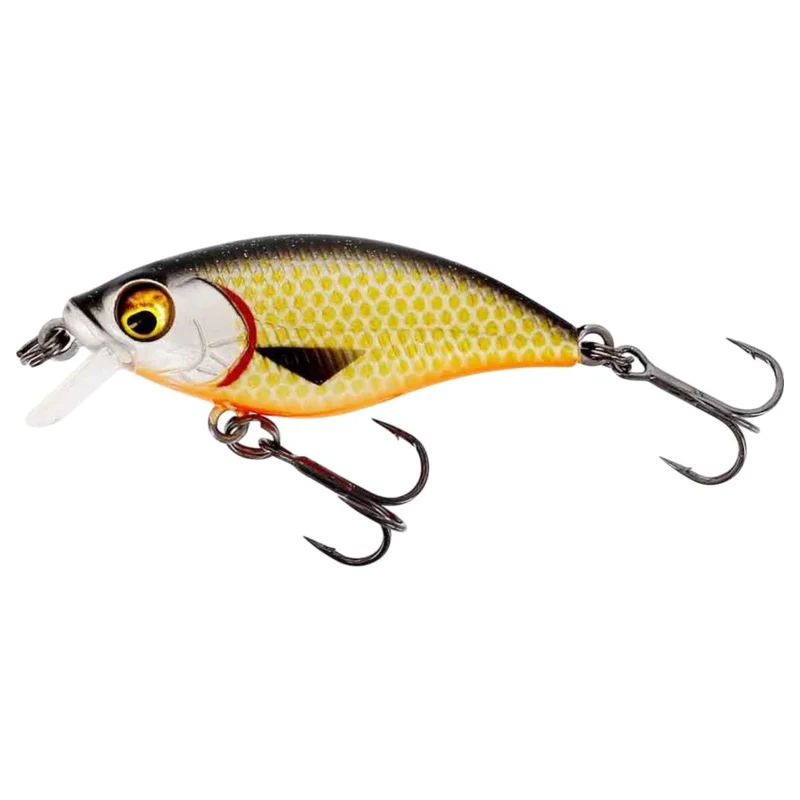 tackle-dealer-shop4862776