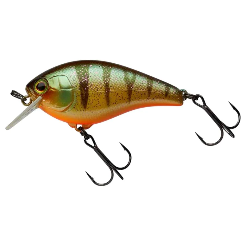tackle-dealer-shop4863293