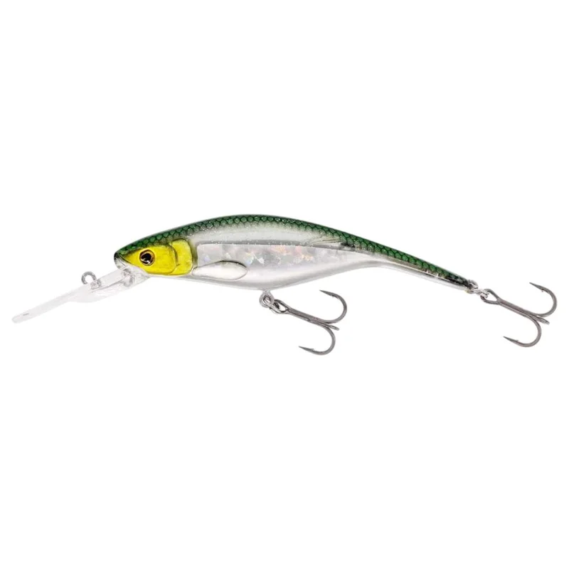 tackle-dealer-shop4867219