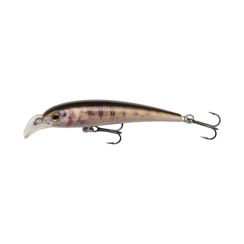 tackle-dealer-shop4867369