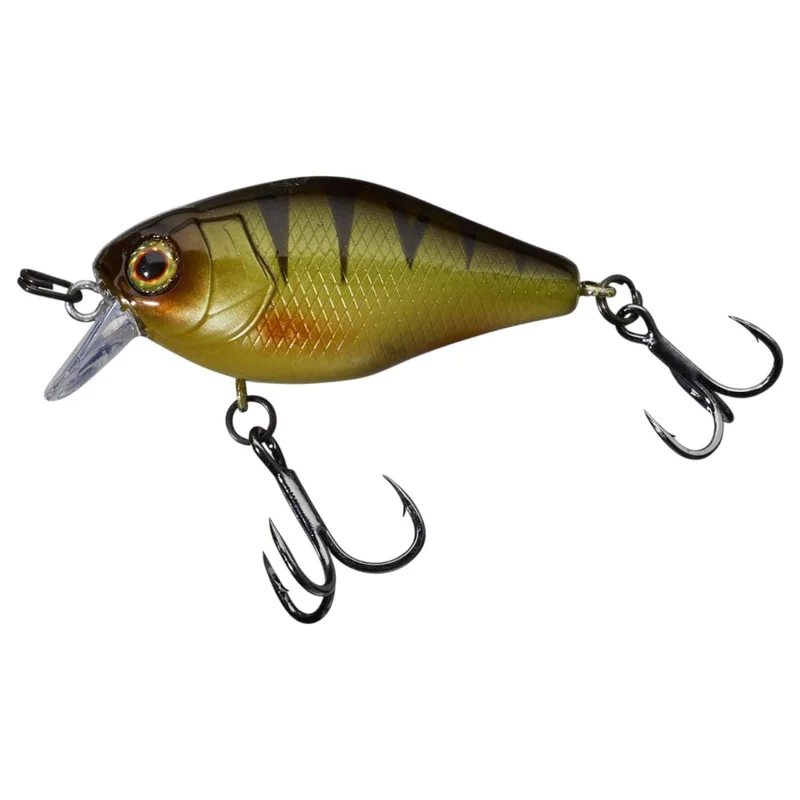 tackle-dealer-shop4874020